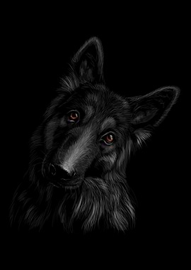 German Shepherd Dog