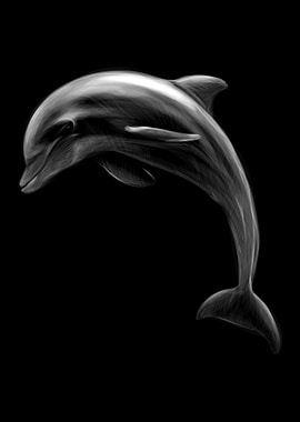 Dolphin