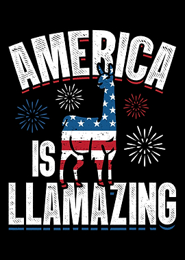 USA Llama 4th July