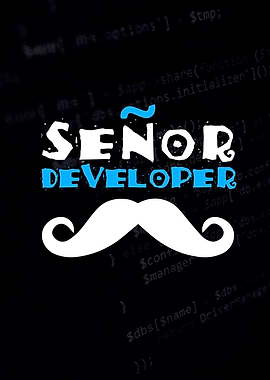 Senior Web Developer