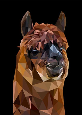 nursery animal alpaca