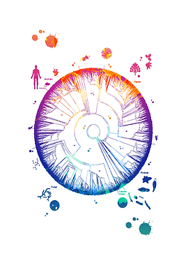 Watercolors Phylogenetic