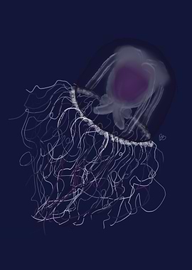 Asexual Pride Jellyfish