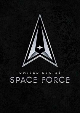 Arms of Space Force