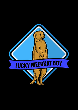 Meerkat
