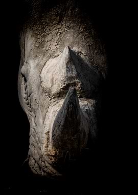 Front Rhinoceros Dark