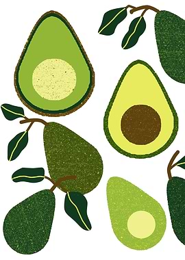 Avocados Art