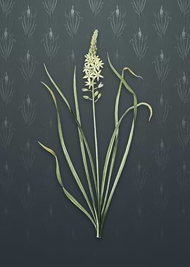 Vintage Wild Asparagus
