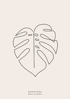 Monstera deliciosa 01