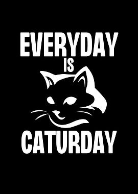 Everyday is Caturday
