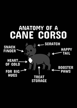 Anatomy Of A Cane Corso