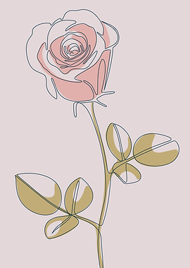 Rose floral line drawings