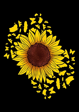 Sunflower Butterflies Cute