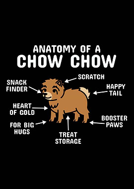Anatomy Of A Chow Chow