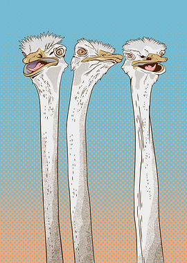 Three cute ostriches