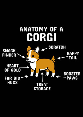 Anatomy Of A Corgi