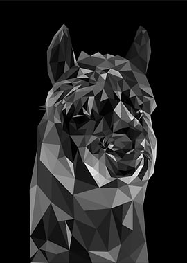 Nursery animal alpaca