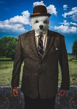 Bowler Hat Man Dog Park