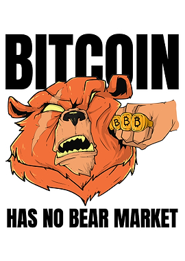 Bitcoin Has No Bear Market