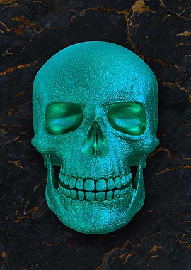 08 3D human skull skeleton