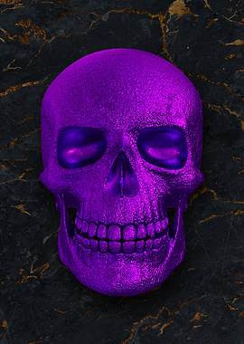 06 3D human skull skeleton