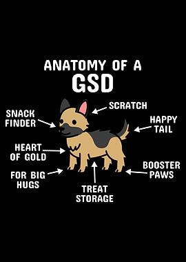 German Shepherd Anatomy