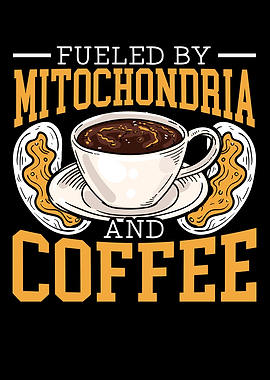 Mitochondria And Coffee