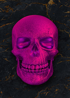 05 3D human skull skeleton