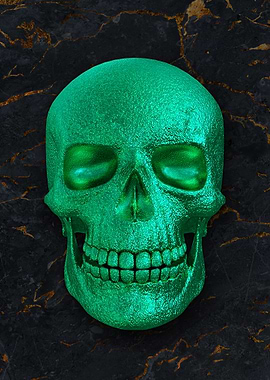 04 3D human skull skeleton