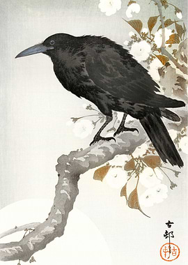 A crow and the full moon