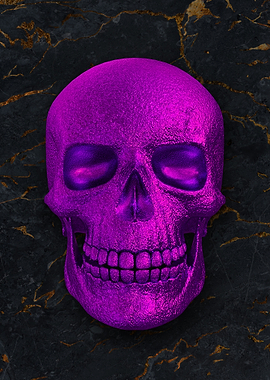 03 3D human skull skeleton