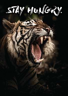 Stay Hungry Tiger