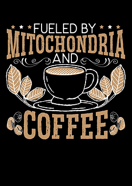 Mitochondria And Coffee