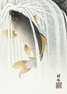 Carp 1935 by Ohara Koson