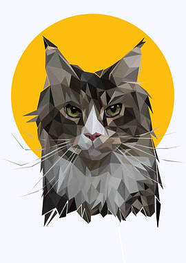 Nusery animal cute cat