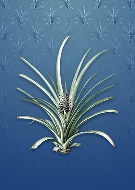 Pineapple on Bahama Blue