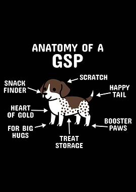 Anatomy Of A Pointer