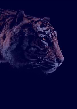 Geometric Clemson Tiger