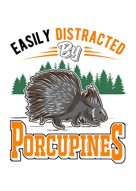 Porcupine Gift