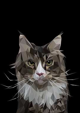 nursery animals cute cat