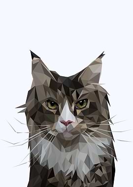 nursery animals cute cat