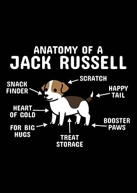 Anatomy Of A Jack Russell
