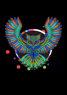 Owl Mandala Bird Cute Owls