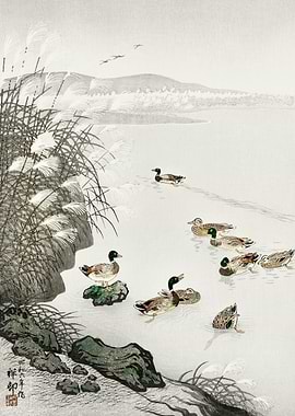 Ducks in the water 1931