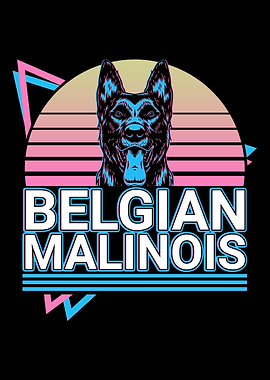 Belgian Malinois Retro