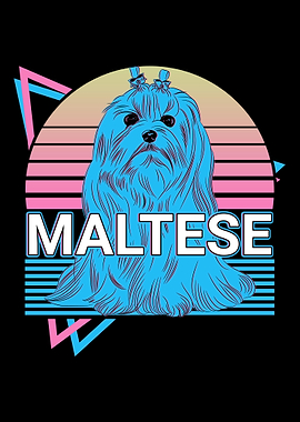 Maltese Retro