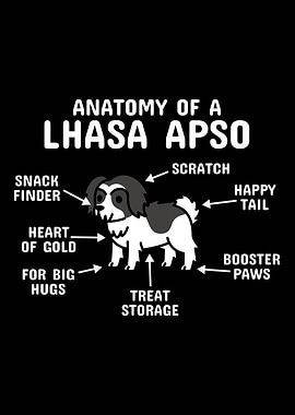 Anatomy Of A Lhasa Apso