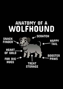 Irish Wolfhound Anatomy