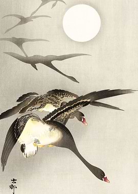 Geese at full moon 1930