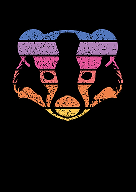 Badger vintage colorful